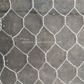 Chicken and Rabbit SS Hexagonal Wire Mesh